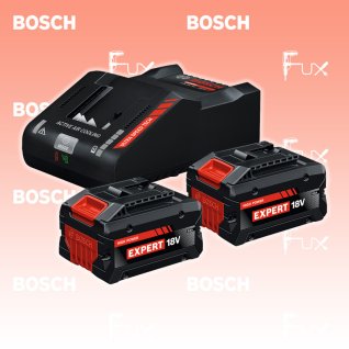 Bosch Expert 2x EXBA18V-80 + EXAL18V-160 Starter-Set